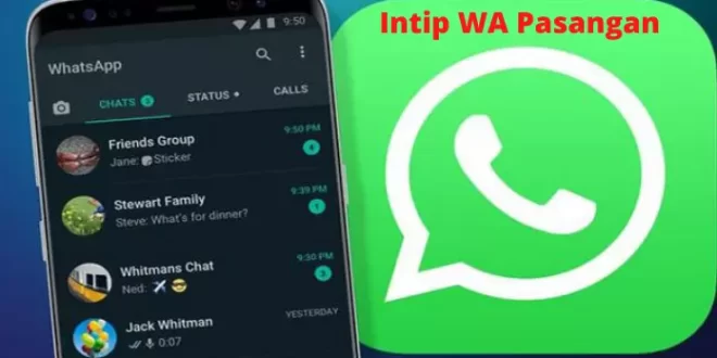Aplikasi Intip WhatsApp Tanpa Sentuh HP Pasangan Hanya bermodalkan No HP